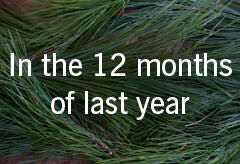12 months of ’13