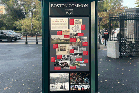common sense design
