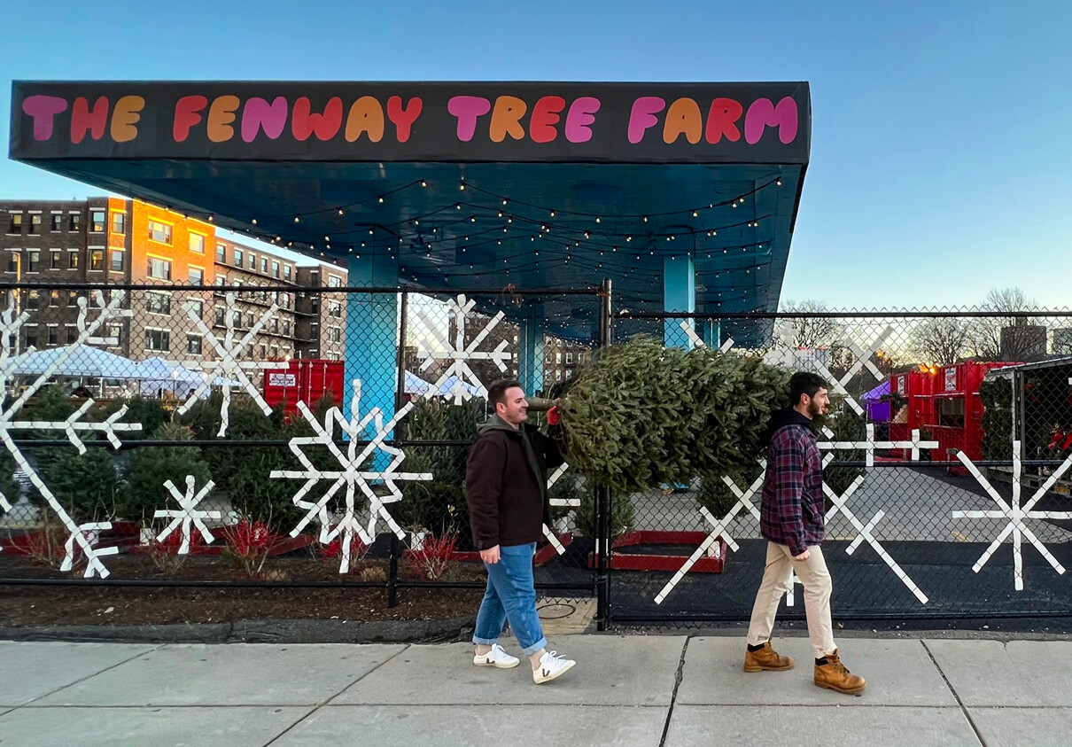The Fenway winter tree farm with two revellers carrying a tree