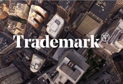 trademark brand identity & website