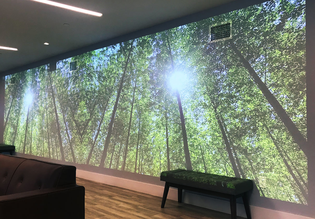 Union & West lobby art projection 2—forest